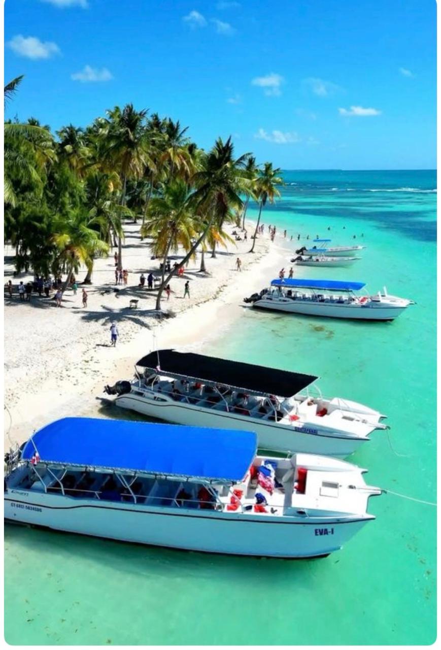Isla Saona en Catamarán y Lancha Rápida vista 4